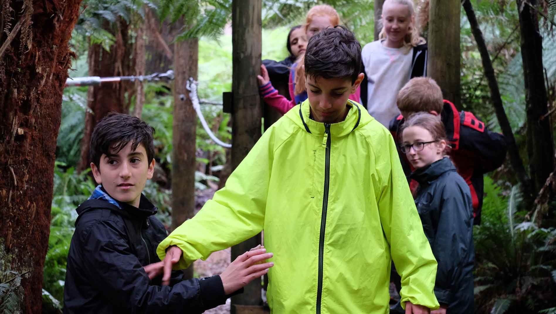 Trust Exercises