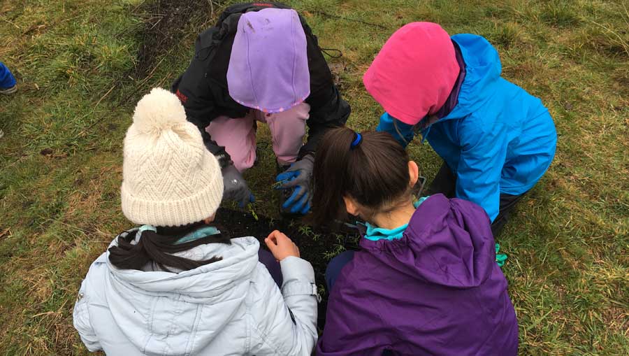 Students planting trees