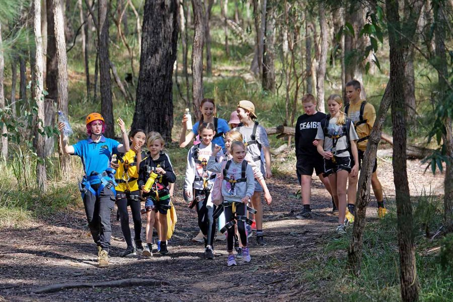 A group of children and two adults hiking on a forest trail, with some kids wearing helmets and carrying walking sticks.