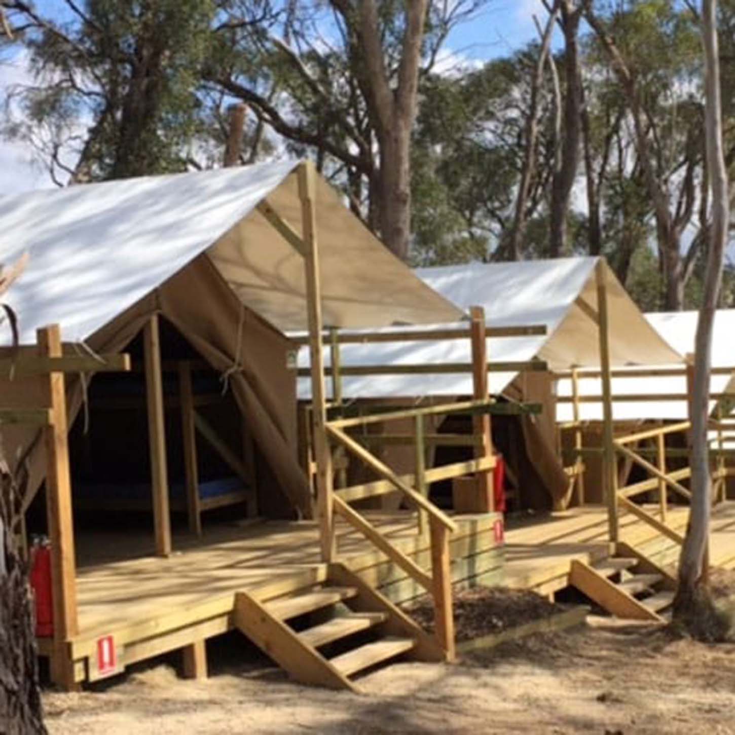 Glamping tents with wooden platforms set up among trees, equipped with staircases and covered with white canvas.
