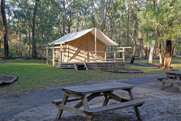 A canvas tent set up on a wooden platform in a forest, with picnic tables in the foreground.