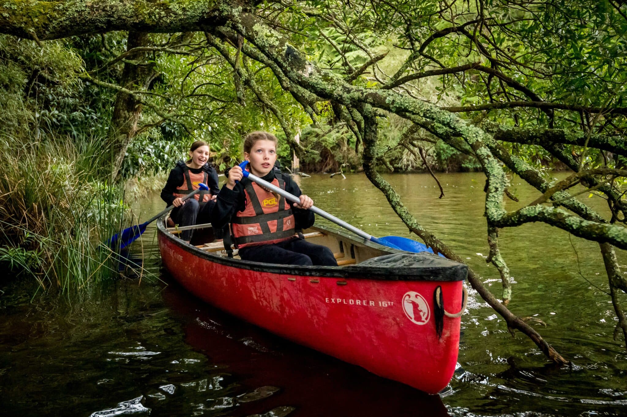 Two people unite in canoeing through a densely wooded area, navigating under low-hanging branches on a serene waterway.
