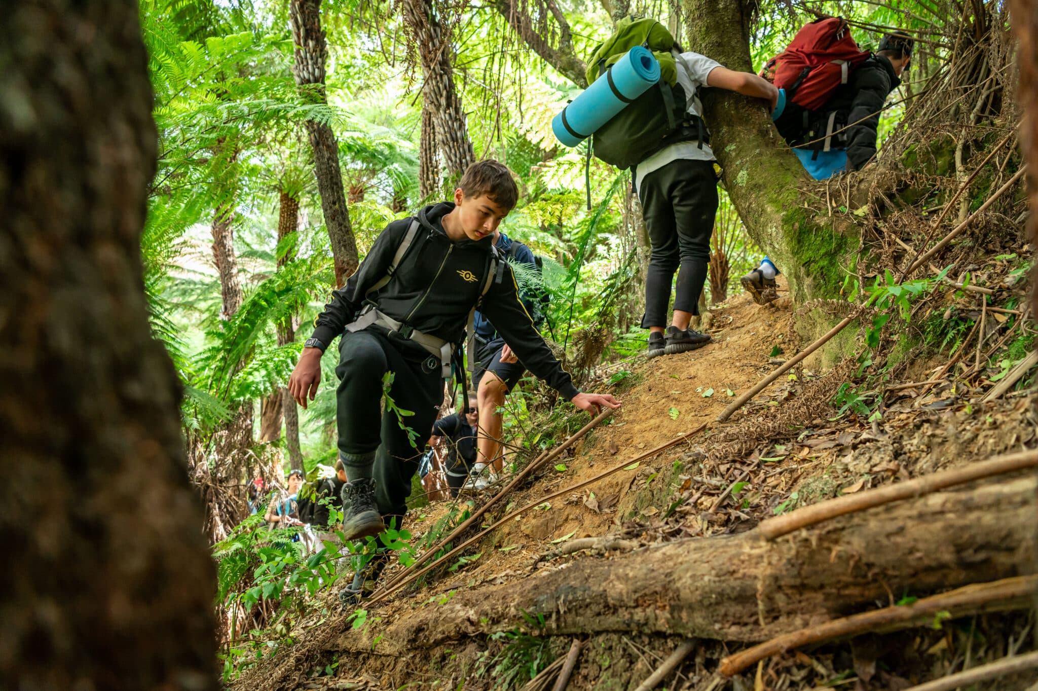 Two hikers with backpacks discover a steep, forested trail, navigating over exposed roots and lush greenery.