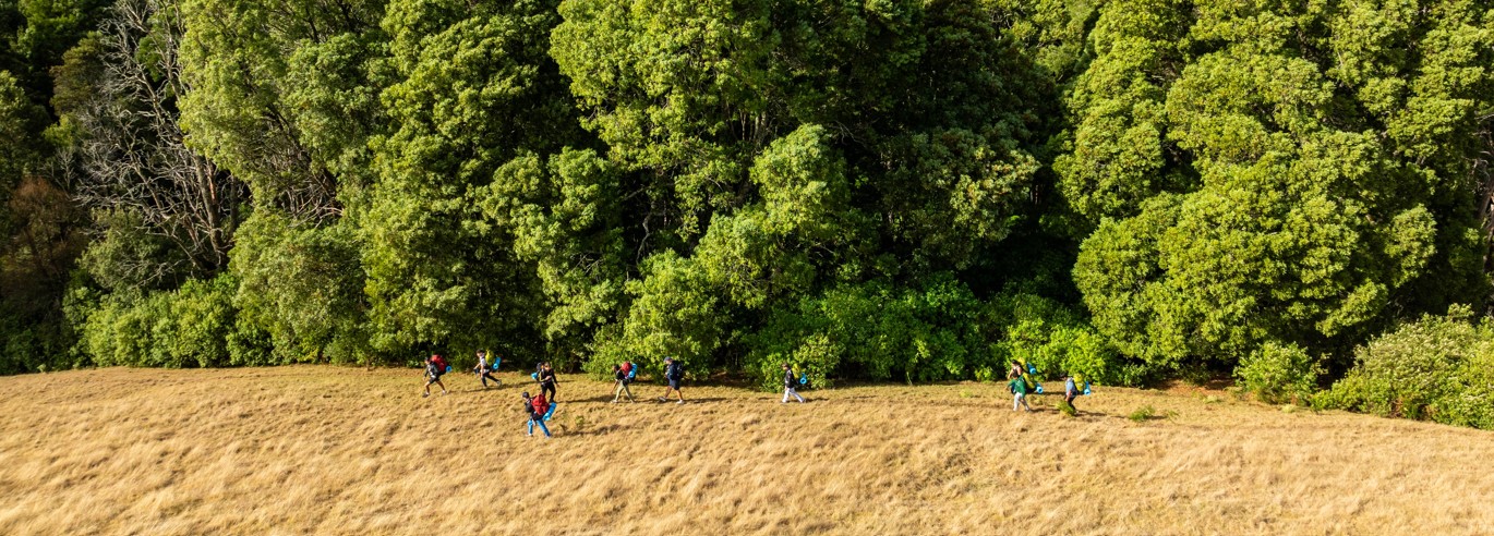 Stepping up for the Australian environment